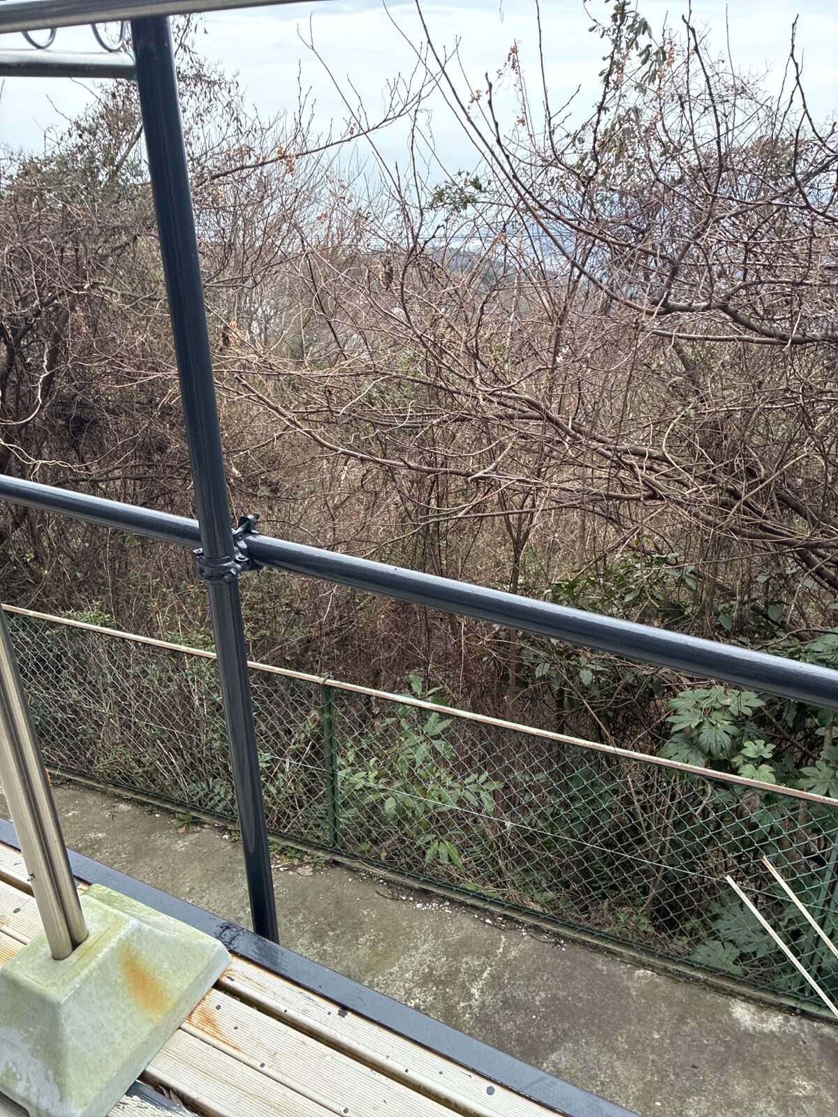 balcony railing view